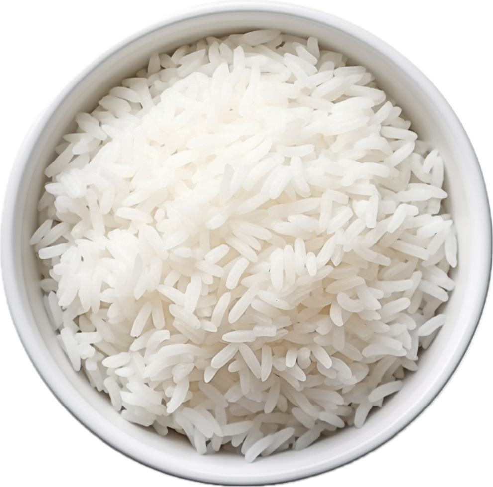 White Rice 