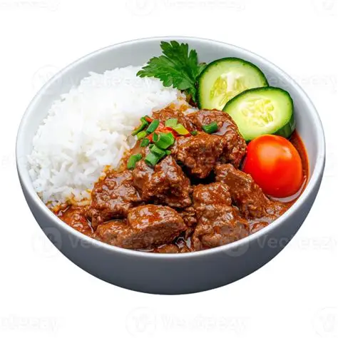  Beef Stew with Rice 